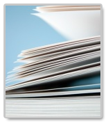 parts of a term paper