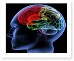 research paper on Alzheimer’s