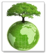 research paper on pollution