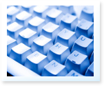 Write a Term Paper in MLA Style