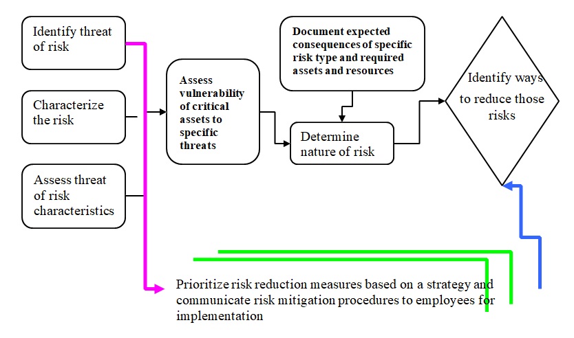 procedures for risk management planning.