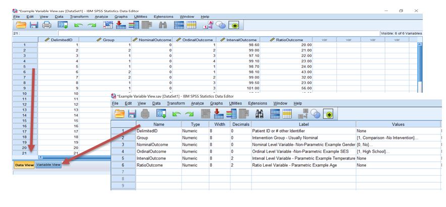Example SPSS Dataset & Variable View