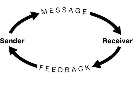 Feedback Loop