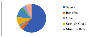 Budget Pie Chart for Adult Day Health Care Services
